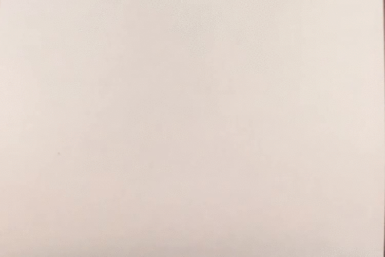 print flies